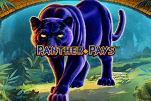 Panther Pays - SKYBET138