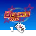 Deuces Wild 1 Hand - SKYBET138
