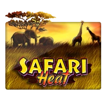 Safari Heat - SKYBET138