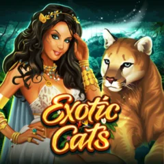 Exotic Cats - SKYBET138