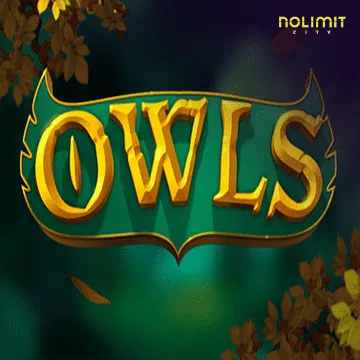 Owls - SKYBET138