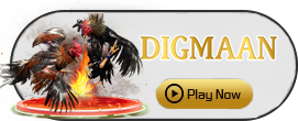 Digman - SKYBET138