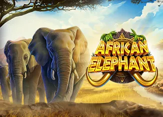African Elephant - SKYBET138